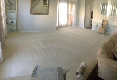 Carpet Cleaning in Charlotte, NC (2)
