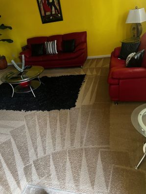Carpet Stain Removal Services in Matthews, NC (6)