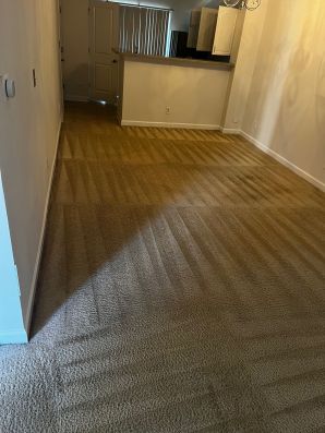 Carpet Stain Removal Services in Matthews, NC (5)