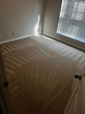 Carpet Stain Removal Services in Matthews, NC (4)