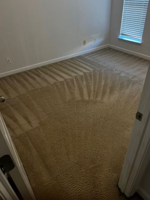 Carpet Stain Removal Services in Matthews, NC (3)