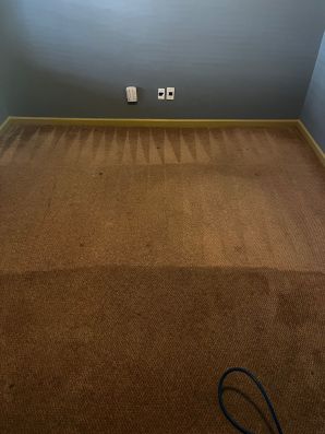 Carpet Stain Removal Services in Matthews, NC (2)