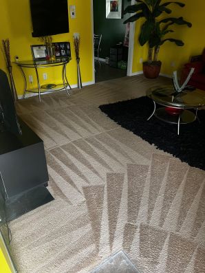 Carpet Stain Removal Services in Matthews, NC (1)
