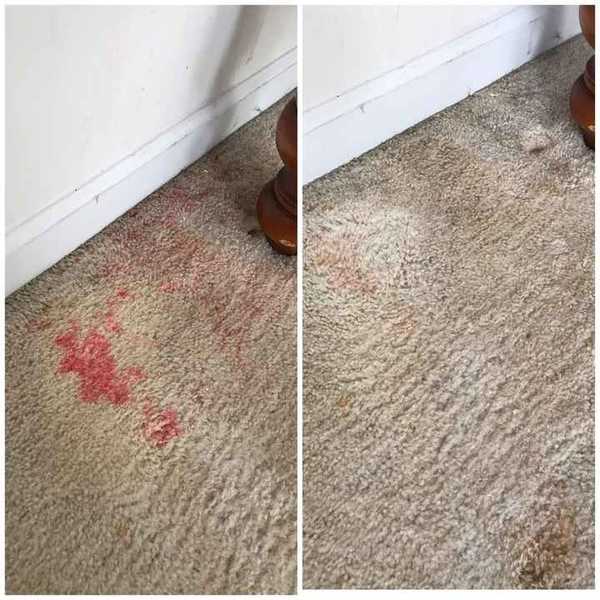 Before & After Carpet Stain Removal in Cornelius, NC (1)