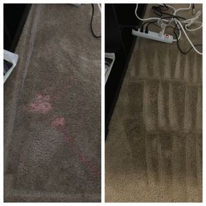 Before & After Carpet Stain Removal in Charlotte, NC (1)