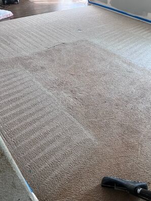 Carpet Cleaning in Rock Hill, NC (2)