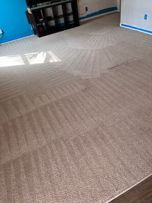 Carpet Cleaning in Rock Hill, NC (1)