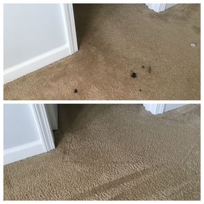 Before & After Carpet Stain Removal in Charlotte, NC (2)