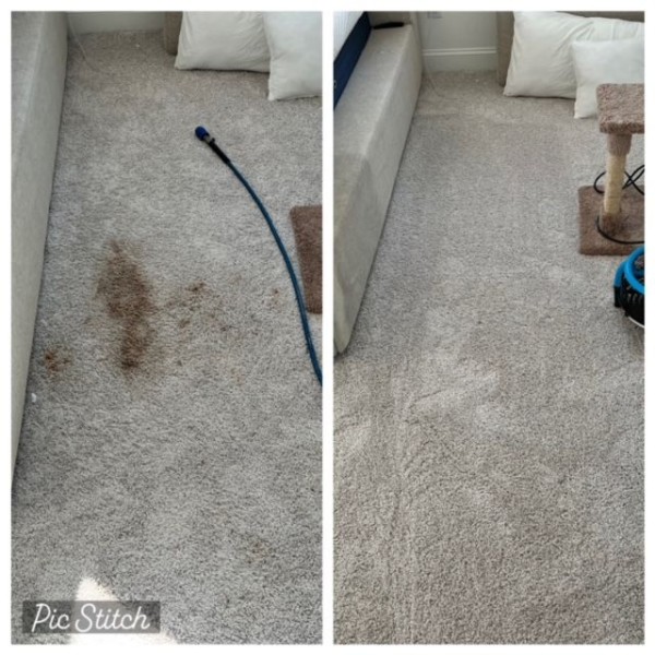 Before & After Carpet Cleaning in Rock Hill, NC (1)