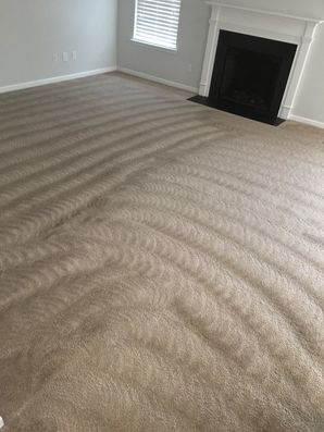 Carpet Cleaning in Charlotte, NC (3)