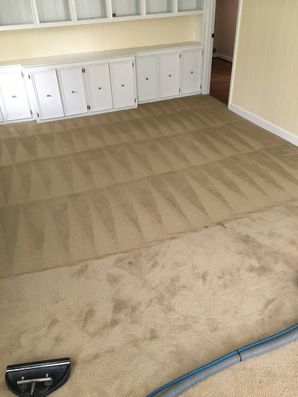Carpet Cleaning in Charlotte, NC (4)