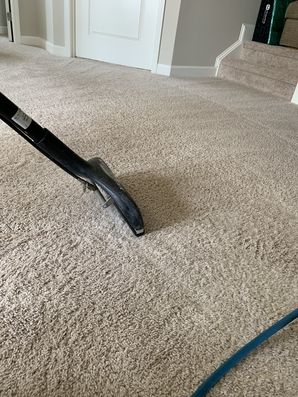 Carpet Steam Cleaning in Charlotte by GHC Building Maintenance, LLC