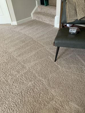 Carpet Cleaning in Concord, NC (2)