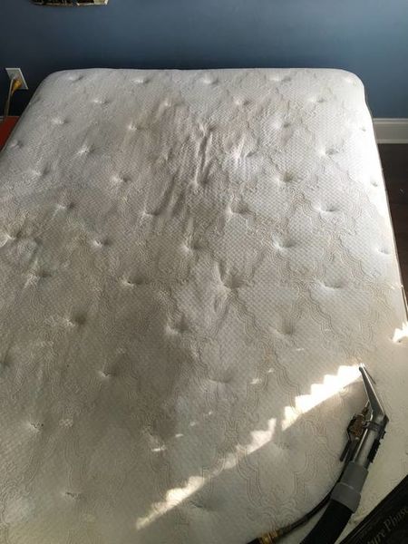 Mattress Cleaning in Charlotte, NC (1)