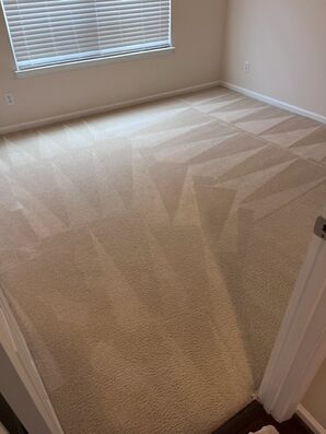 Residential Carpet Cleaning in Mint Hill, NC (2)