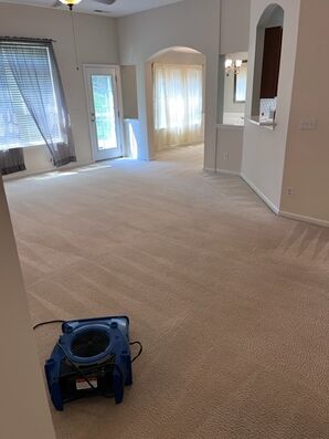 Residential Carpet Cleaning in Mint Hill, NC (1)
