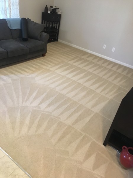 Carpet Cleaning in Charlotte, NC (1)
