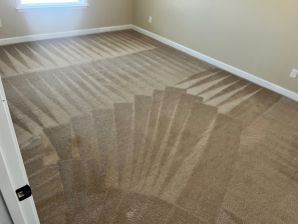 Carpet Cleaning in Charlotte, NC (6)