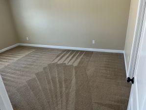 Carpet Cleaning in Charlotte, NC (5)