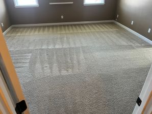 Carpet Cleaning in Charlotte, NC (4)