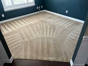 Carpet Cleaning in Charlotte, NC (3)