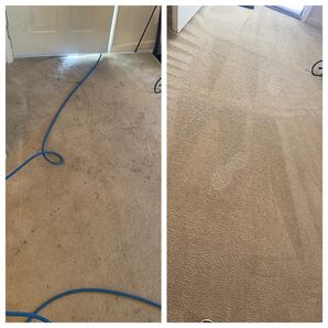 Before and After Carpet Cleaning in Charlotte, NC (4)