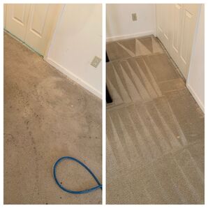 Before and After Carpet Cleaning in Charlotte, NC (3)