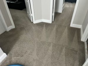 Carpet Cleaning in Charlotte, NC (2)