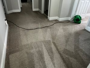 Carpet Cleaning in Charlotte, NC (1)