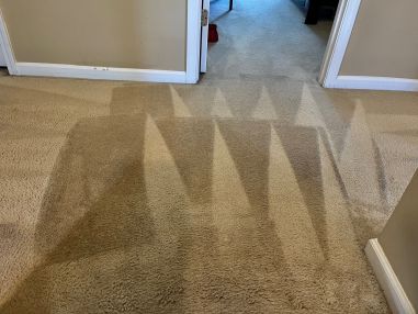 Carpet Cleaning in Charlotte, NC (2)