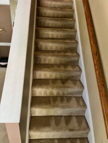 Carpet Cleaning in Charlotte, NC (1)