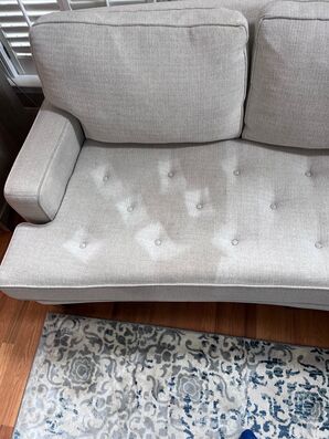 Sofa Cleaning Services in Charlotte, NC (1)