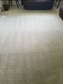 Before & After Carpet Cleaning in Charlotte, NC (2)