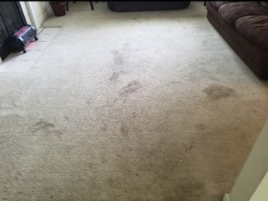 Before & After Carpet Cleaning in Charlotte, NC (1)