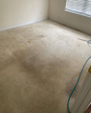 Before and After Carpet Cleaning in Charlotte, NC (1)
