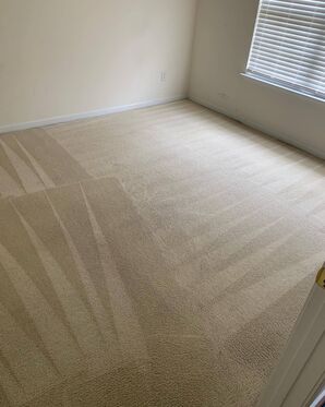 Before and After Carpet Cleaning in Charlotte, NC (2)