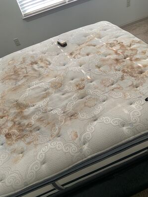 Before & After Mattress Cleaning in Charlotte, NC (3)